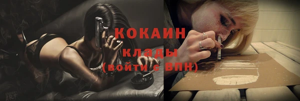 шишки Абинск