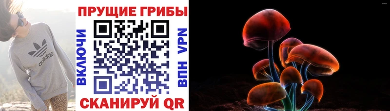 Псилоцибиновые грибы ЛСД  Советск 